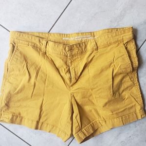 GAP 10 Mustard Girlfriend Kahkis